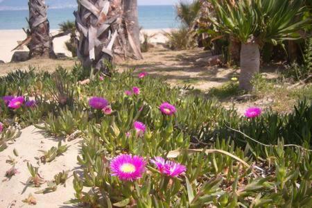 A La Playa * Algeciras